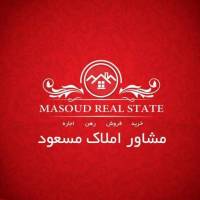 مسعود قدری پروفایل