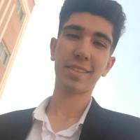 امیرحسین شریف زاده  پروفایل