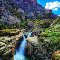 موسیوند پروفایل