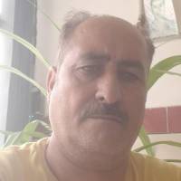 داود همتی پروفایل