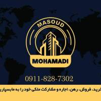 مسعود محمدی پروفایل