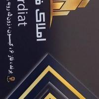 محمد شاهیوند پروفایل