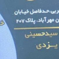 سید حسینی پروفایل