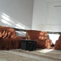 مجتبی عزیزی نسب پروفایل
