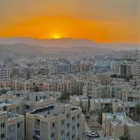 محمد احمدی پروفایل