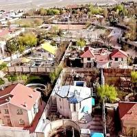 هادی یامی پروفایل