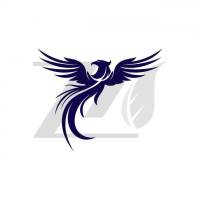 علیرضا علیزاده پروفایل