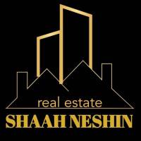  ابوالفضل دلیخون املاک شاه نشین  پروفایل
