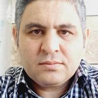 رضا شاهی پروفایل