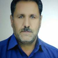 محمدی پروفایل