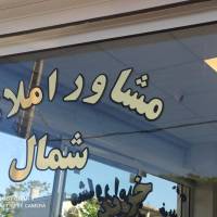 مهدی نواییان پروفایل