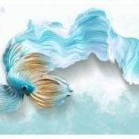 املاک ص پروفایل