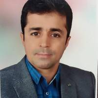 سید مجید عابدی پروفایل