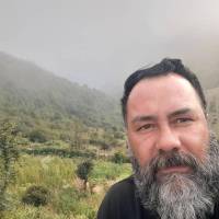 سیدامیرحسینی پروفایل