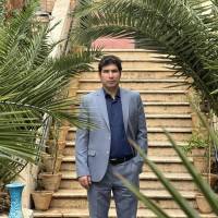 علی نجفی پروفایل