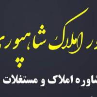 حسین شاهپوری پروفایل