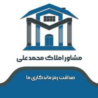 مشاور حاجیانی پروفایل