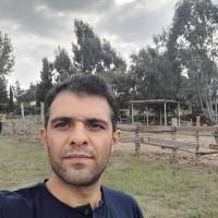 هادی حاتمی پروفایل