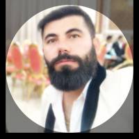 هادی مولوی پروفایل