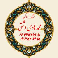 محمد هادی دشتی رحمت آبادی پروفایل