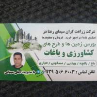 علی سیمایی  پروفایل