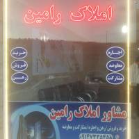 رامین پاشایی پروفایل