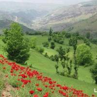 مهندس شافعی پروفایل