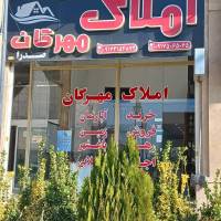 مشاور حمید محمودی پروفایل