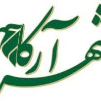 آژانس املاک شهر آرکا پروفایل