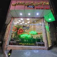 آژانس املاک بزرگ ایرانشاهی پروفایل