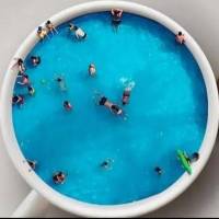 آژانس املاک روژ ویلا پروفایل