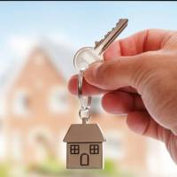 آژانس املاک جمال پور پروفایل