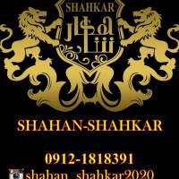 آژانس املاک شاهکار پروفایل