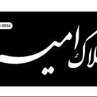 آژانس املاک امیر پروفایل