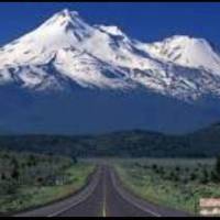 آژانس املاک اورست پروفایل