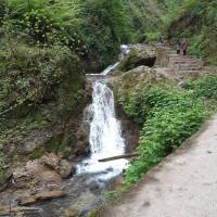 آژانس املاک مسکن جعفری پروفایل