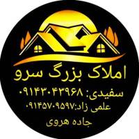 آژانس املاک بزرگ سرو پروفایل