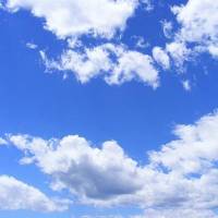 آژانس املاک آسمان آبی پروفایل