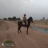 آژانس املاک سید احسان نبی زاده پروفایل