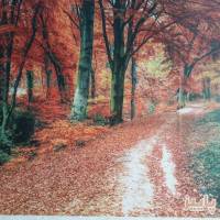 آژانس املاک پاییز پروفایل