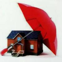 آژانس املاک امیری پروفایل