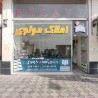 آژانس املاک مولوی پروفایل
